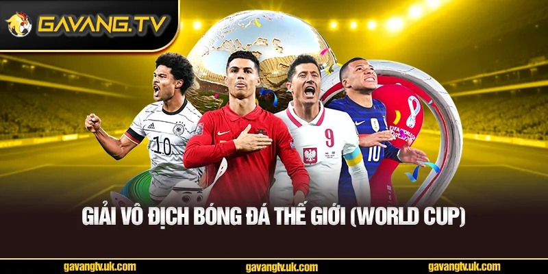 Giải vô địch bóng đá thế giới (World Cup)
