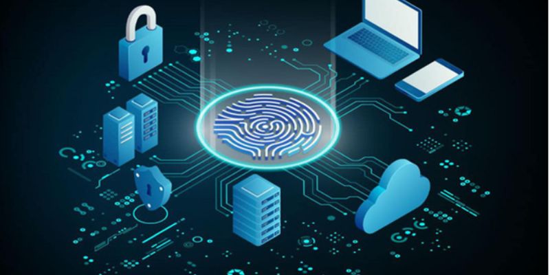 Giám sát lượng truy cập