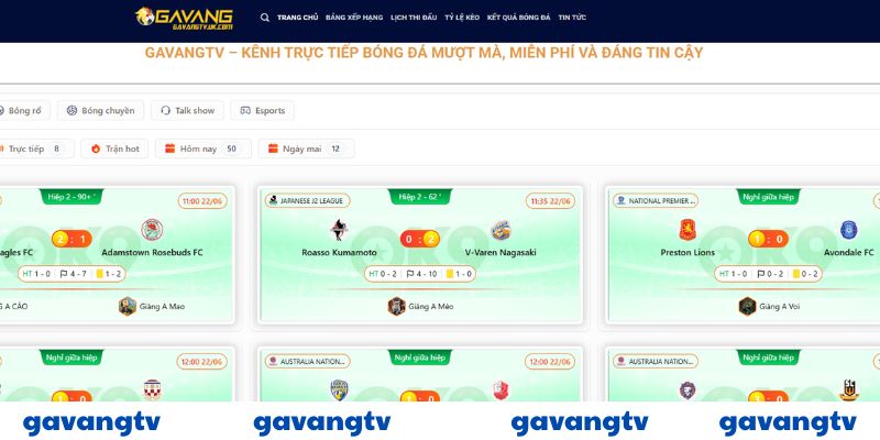 Trực tiếp bóng đá Gavangtv